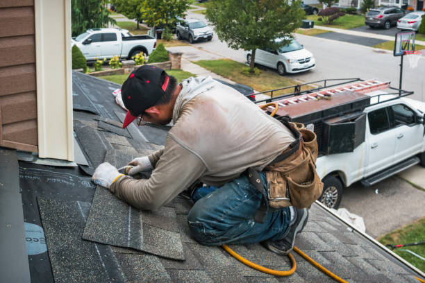 Professional Gutter Repair And Installation technician working in Reynolds, IL